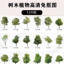 120组树木植物高清免抠图