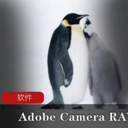 Adobe Camera RAW)图像增效工具