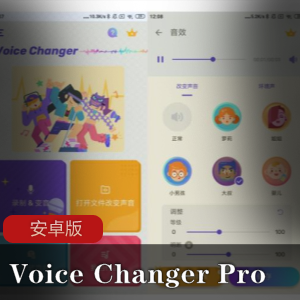 Voice Changer Pro安卓版