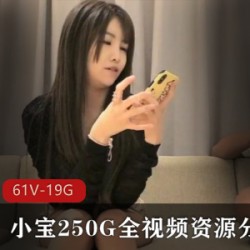 小宝250G全视频资源分集11(61V-19.7GB)